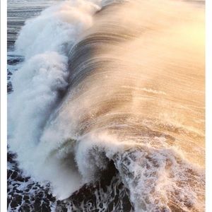 Meet your Posher, Kyndall